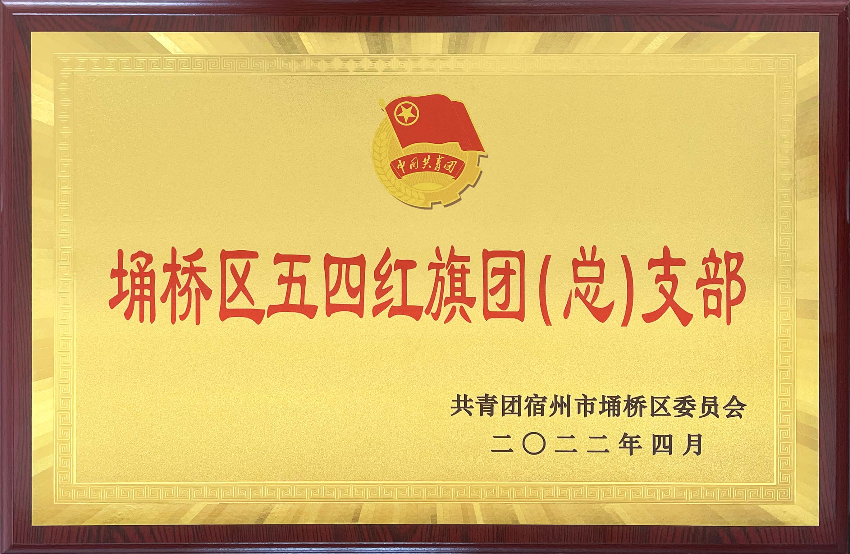 熱烈祝賀安徽萬碩科技產(chǎn)業(yè)（集團(tuán)）有限公司團(tuán)支部獲評(píng)“埇橋區(qū)五四紅旗團(tuán)（總）支部”稱號(hào)